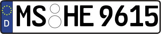 MS-HE9615