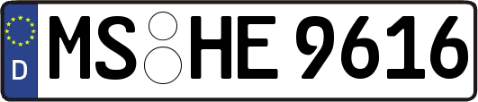 MS-HE9616