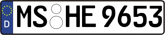 MS-HE9653