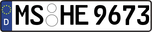 MS-HE9673