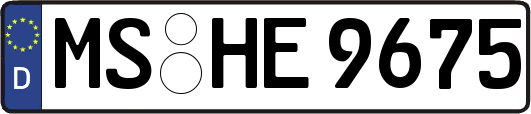 MS-HE9675