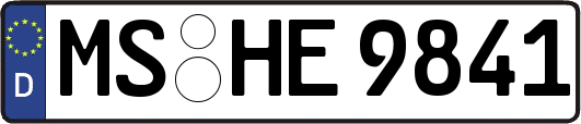 MS-HE9841