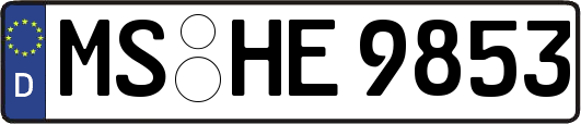 MS-HE9853