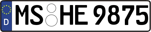 MS-HE9875