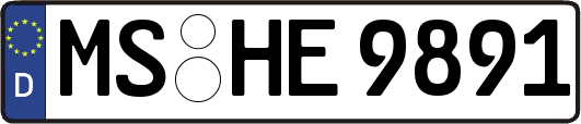 MS-HE9891