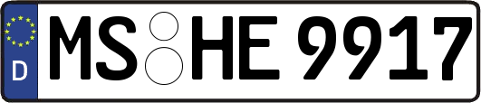 MS-HE9917