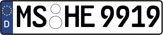 MS-HE9919