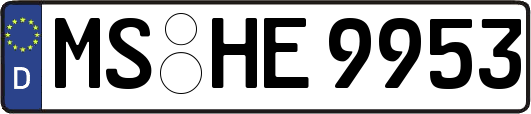 MS-HE9953