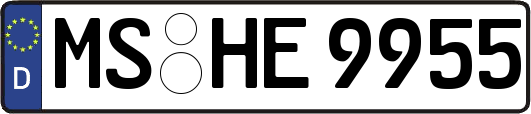 MS-HE9955