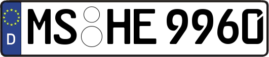 MS-HE9960