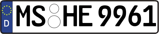 MS-HE9961