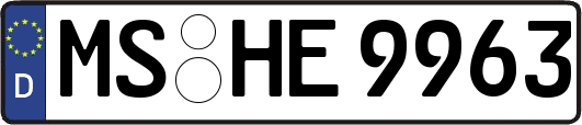 MS-HE9963