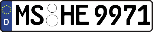 MS-HE9971