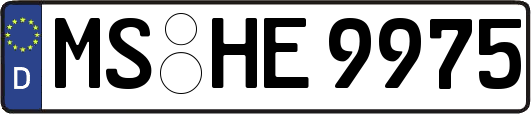 MS-HE9975