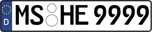MS-HE9999
