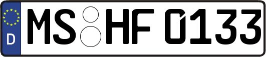 MS-HF0133