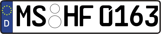 MS-HF0163