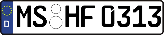 MS-HF0313
