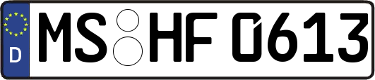 MS-HF0613