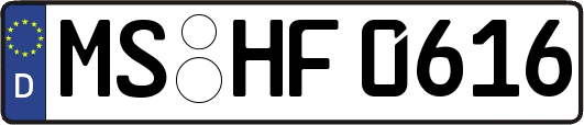 MS-HF0616