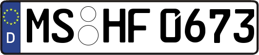 MS-HF0673