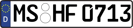 MS-HF0713