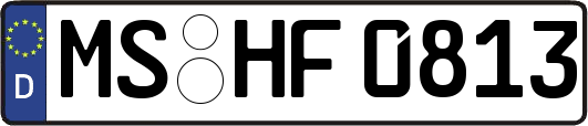 MS-HF0813