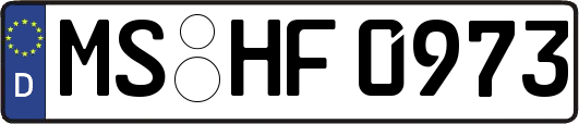 MS-HF0973