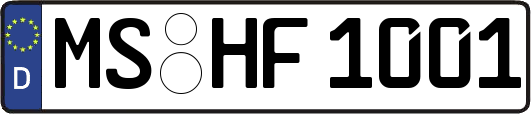 MS-HF1001