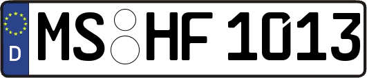 MS-HF1013