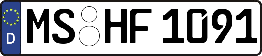 MS-HF1091