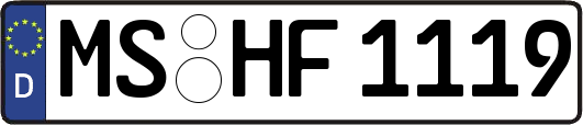 MS-HF1119