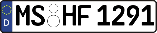 MS-HF1291