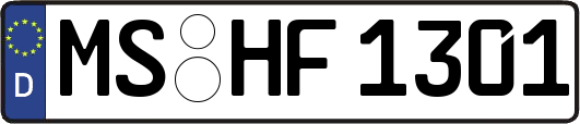 MS-HF1301