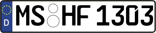 MS-HF1303