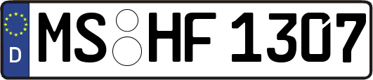 MS-HF1307
