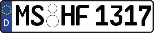 MS-HF1317