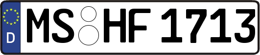 MS-HF1713