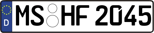MS-HF2045