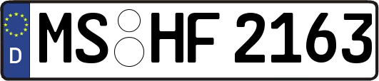 MS-HF2163