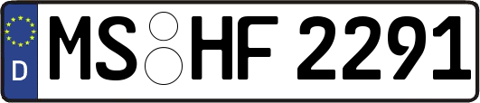 MS-HF2291