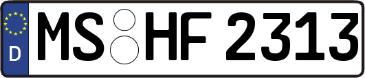 MS-HF2313