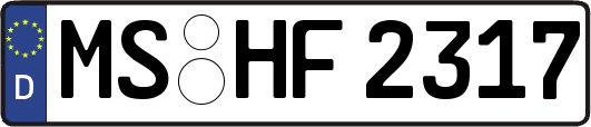 MS-HF2317