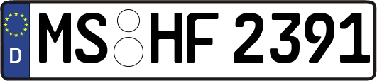 MS-HF2391