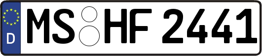 MS-HF2441
