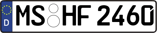 MS-HF2460