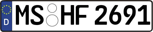MS-HF2691