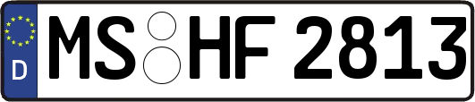 MS-HF2813