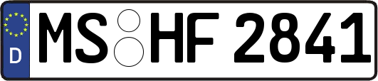 MS-HF2841
