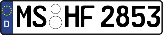 MS-HF2853